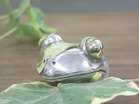 R17950.JPG