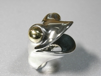 R12121.JPG