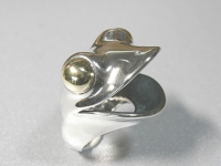 R12121.JPG