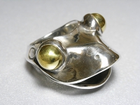 R11757.JPG