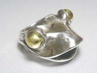 R11757.JPG