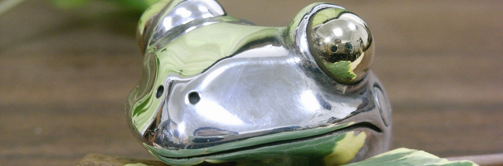 R17950.JPG