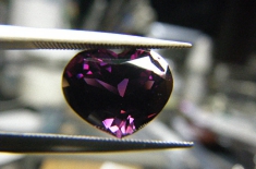 R10662.JPG