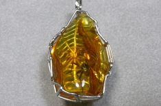 R16865.JPG