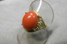 R17034.JPG