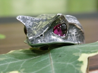 R17934.JPG