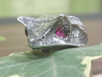 R17934.JPG